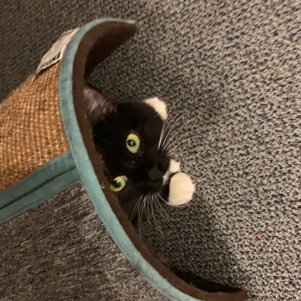 Meet your Posher, Kathryn